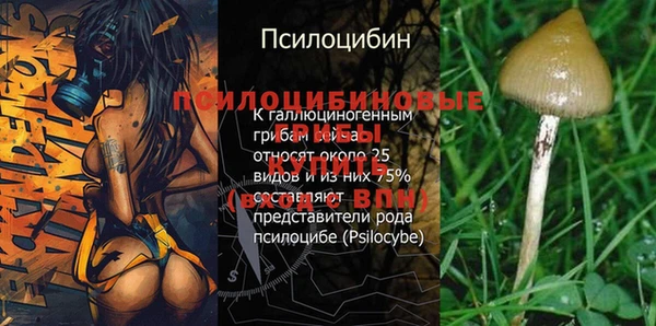 каннабис Нефтекумск