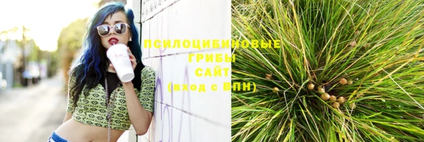 мет Новодвинск