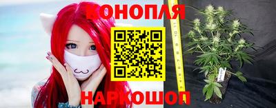 первитин Заводоуковск