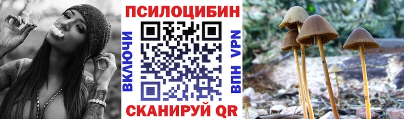 Галлюциногенные грибы MAGIC MUSHROOMS  Лениногорск 