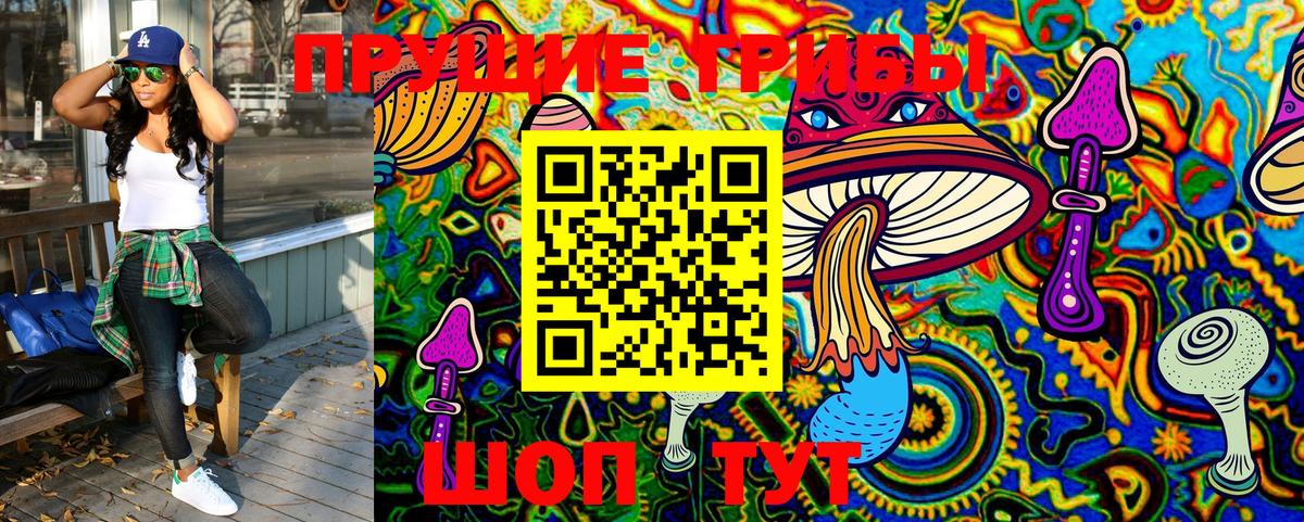 Галлюциногенные грибы Cubensis  Лениногорск 