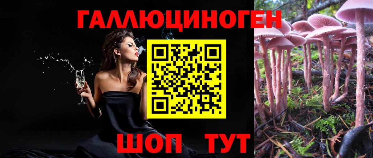Псилоцибиновые грибы мицелий Лениногорск